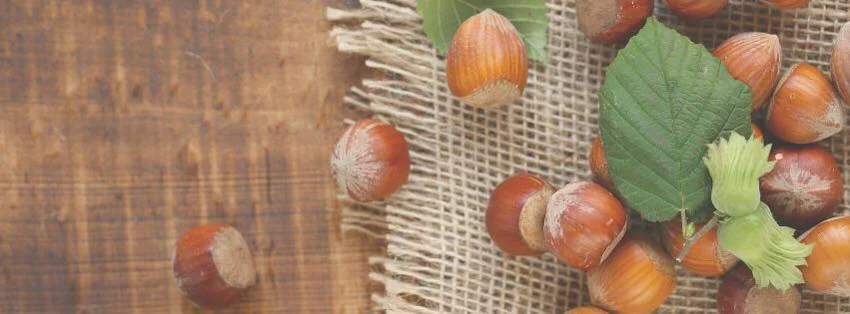 თხილის ბაღი ვანში